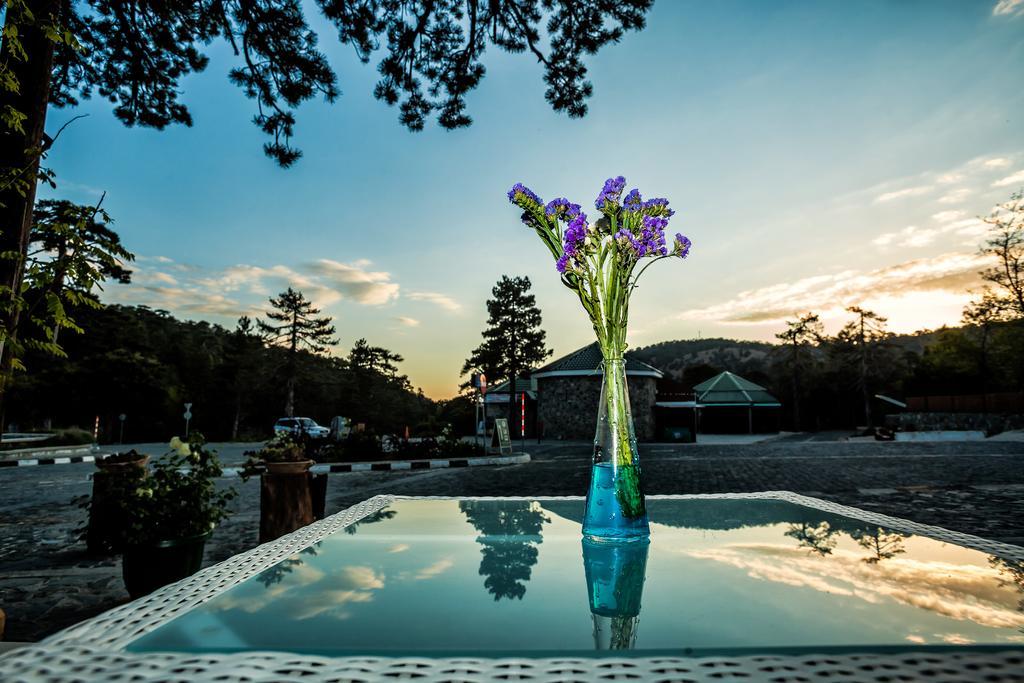 Troodos Hotel & Spa Екстер'єр фото