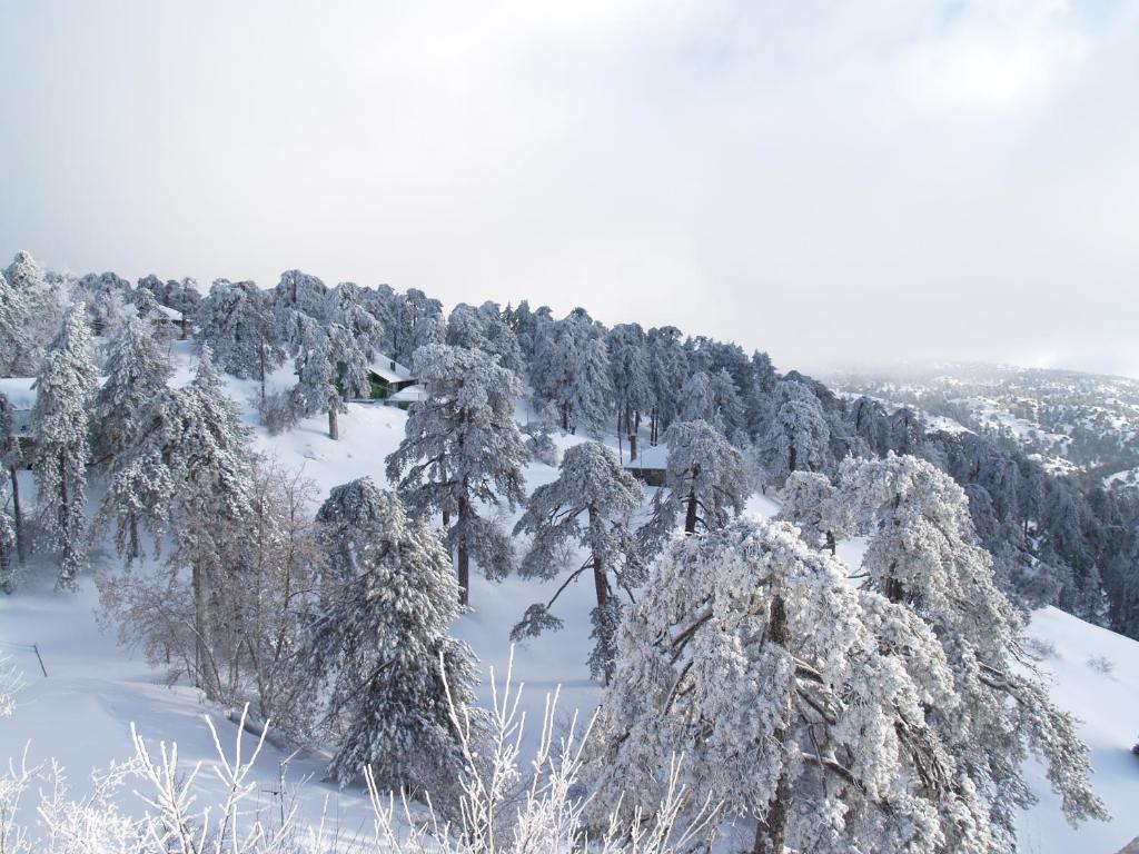 Troodos Hotel & Spa Екстер'єр фото